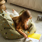 Wigiwama children's soft furniture lifestyle photo