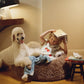 Wigiwama children's soft furniture lifestyle photo